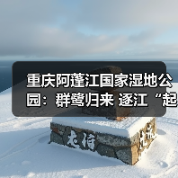 重庆阿蓬江国家湿地公园：群鹭归来 逐江“起舞”（图4）