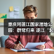 重庆阿蓬江国家湿地公园：群鹭归来 逐江“起舞”（图1）
