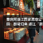 重庆阿蓬江国家湿地公园：群鹭归来 逐江“起舞”（图2）