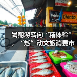 暑期游转向“精体验”，“燃”动文旅消费市场（图1）