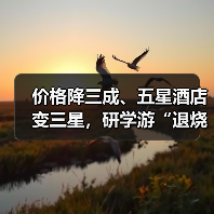 价格降三成、五星酒店变三星，研学游“退烧”（图2）