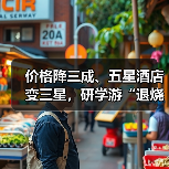 价格降三成、五星酒店变三星，研学游“退烧”（图1）
