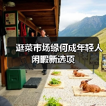 逛菜市场缘何成年轻人闲暇新选项（图1）