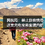 民航局：禁止旅客携带这类充电宝乘坐境内航班（图1）