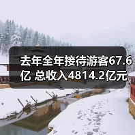 去年全年接待游客67.6亿 总收入4814.2亿元（图1）