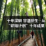 十年深耕 非遗新生――从“研培计划”十年成果展看非遗传承的探索与突破（图3）