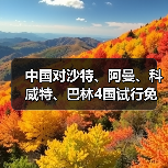 中国对沙特、阿曼、科威特、巴林4国试行免签（图1）