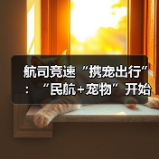 航司竞速“携宠出行”：“民航+宠物”开始延伸（图3）