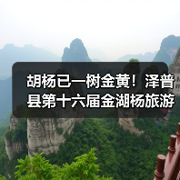 胡杨已一树金黄！泽普县第十六届金湖杨旅游文化季邀您来品（图3）