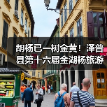 胡杨已一树金黄！泽普县第十六届金湖杨旅游文化季邀您来品（图4）