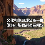 文化和旅游部公布一批旅游市场强制消费问题典型案例（图4）