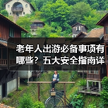 老年人出游必备事项有哪些？五大安全指南详解（图1）