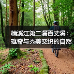 楠溪江第二瀑百丈瀑：雄奇与秀美交织的自然奇观（图4）