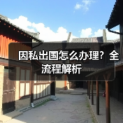 因私出国怎么办理?全流程解析(图2) 因私出国怎么办理?全流程解析(图2)