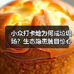 小众打卡地为何成垃圾场?生态隐患触目惊心(图2) 小众打卡地为何成垃圾场?生态隐患触目惊心(图2)
