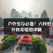 户外生存必备!六种野外救命植物详解(图2) 户外生存必备!六种野外救命植物详解(图2)