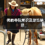 佛教寺院常识及游览禁忌(图2) 佛教寺院常识及游览禁忌(图2)