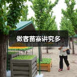 做客苗寨讲究多（图4）
