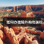 如何办理境外购物退税（图1）