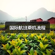 国际航班乘机流程（图4）