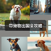 带宠物出国全攻略（图1）