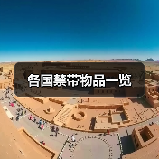 各国禁带物品一览（图4）