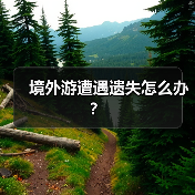 境外游遭遇遗失怎么办？（图2）