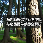 海外旅客离华行李申报与物品携带禁忌全解析(图4) 海外旅客离华行李申报与物品携带禁忌全解析(图4)
