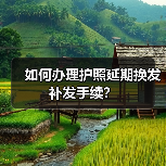 如何办理护照延期换发补发手续？（图1）