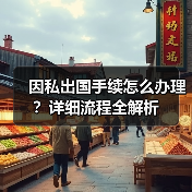 因私出国手续怎么办理?详细流程全解析(图2) 因私出国手续怎么办理?详细流程全解析(图2)