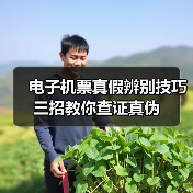 电子机票真假辨别技巧 三招教你查证真伪(图2) 电子机票真假辨别技巧 三招教你查证真伪(图2)