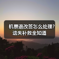 机票退改签怎么处理？遗失补救全知道（图3）
