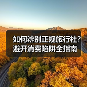 如何辨别正规旅行社?避开消费陷阱全指南(图4) 如何辨别正规旅行社?避开消费陷阱全指南(图4)