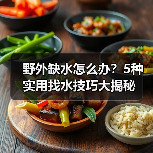野外缺水怎么办?5种实用找水技巧大揭秘(图1) 野外缺水怎么办?5种实用找水技巧大揭秘(图1)
