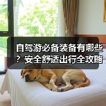 自驾游必备装备有哪些？安全舒适出行全攻略（图1）