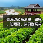 去海边必备清单：墨镜、防晒霜、泳具别漏带！（图2）