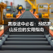 高原途中必看:预防高山反应的实用指南(图4) 高原途中必看:预防高山反应的实用指南(图4)