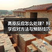 高原反应怎么处理?科学应对方法与预防技巧详解(图4) 高原反应怎么处理?科学应对方法与预防技巧详解(图4)