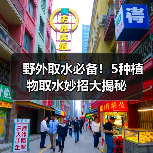 野外取水必备！5种植物取水妙招大揭秘（图1）
