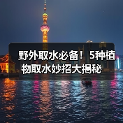 野外取水必备！5种植物取水妙招大揭秘（图3）