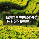 故宫百年守护如何开启数字文化新纪元？（图3）