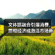 文体旅融合引爆消费，票根经济成激活市场新引擎（图2）