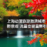上海动漫旅游激活城市新景观 流量变留量新引擎（图1）