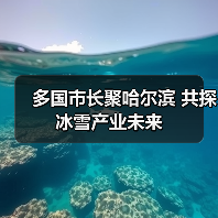 多国市长聚哈尔滨 共探冰雪产业未来（图2）
