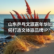 山东乒乓文旅嘉年华如何打造文体旅品牌IP?(图3) 山东乒乓文旅嘉年华如何打造文体旅品牌IP?(图3)