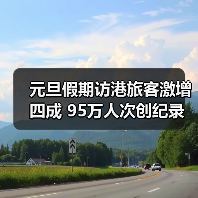 元旦假期访港旅客激增四成 95万人次创纪录（图3）