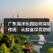 广东海洋乐园如何突破传统:从鲸鲨保育到极地物种的深蓝奇迹(图3) 广东海洋乐园如何突破传统:从鲸鲨保育到极地物种的深蓝奇迹(图3)