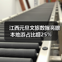 江西元旦文旅数据亮眼 本地游占比超25%（图1）