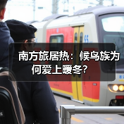 南方旅居热：候鸟族为何爱上暖冬？（图1）