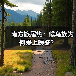 南方旅居热：候鸟族为何爱上暖冬？（图2）